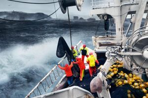 A one-third shareholding in VSV has been acquired from Brim by FISK Seafood. Image: VSV - @ Fiskerforum