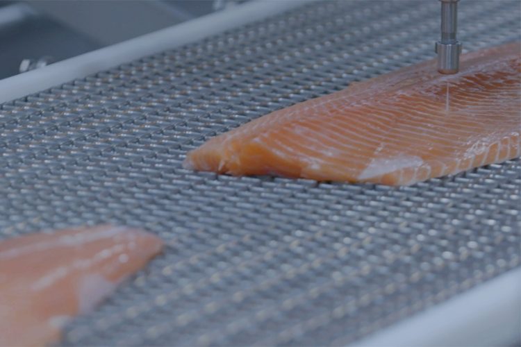 Post Rigor Salmon Valka unveils Water-Jet Cutter for pre-rigor salmon at SPG in Brussels ...