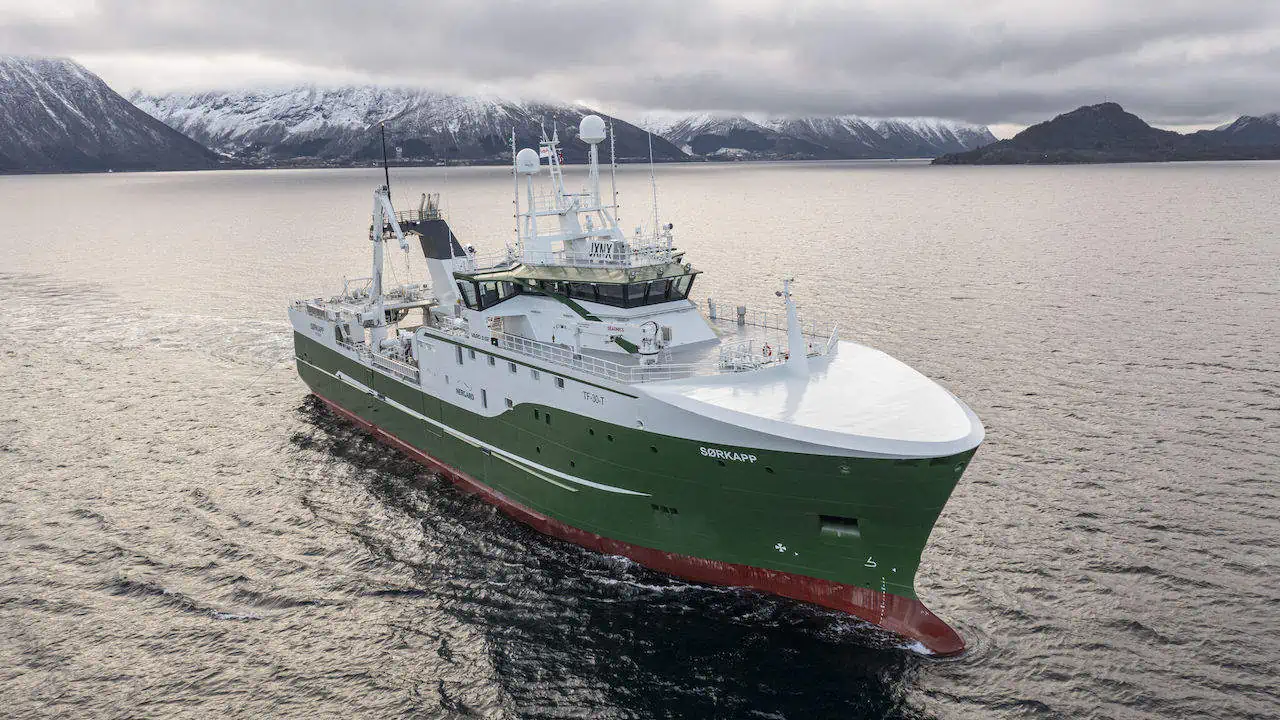 Read more about the article Sørkapp joins Nergård fleet