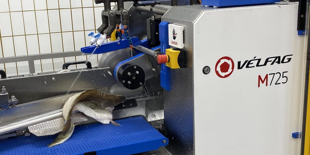 Read more about the article Vélfag in temporary shutdown