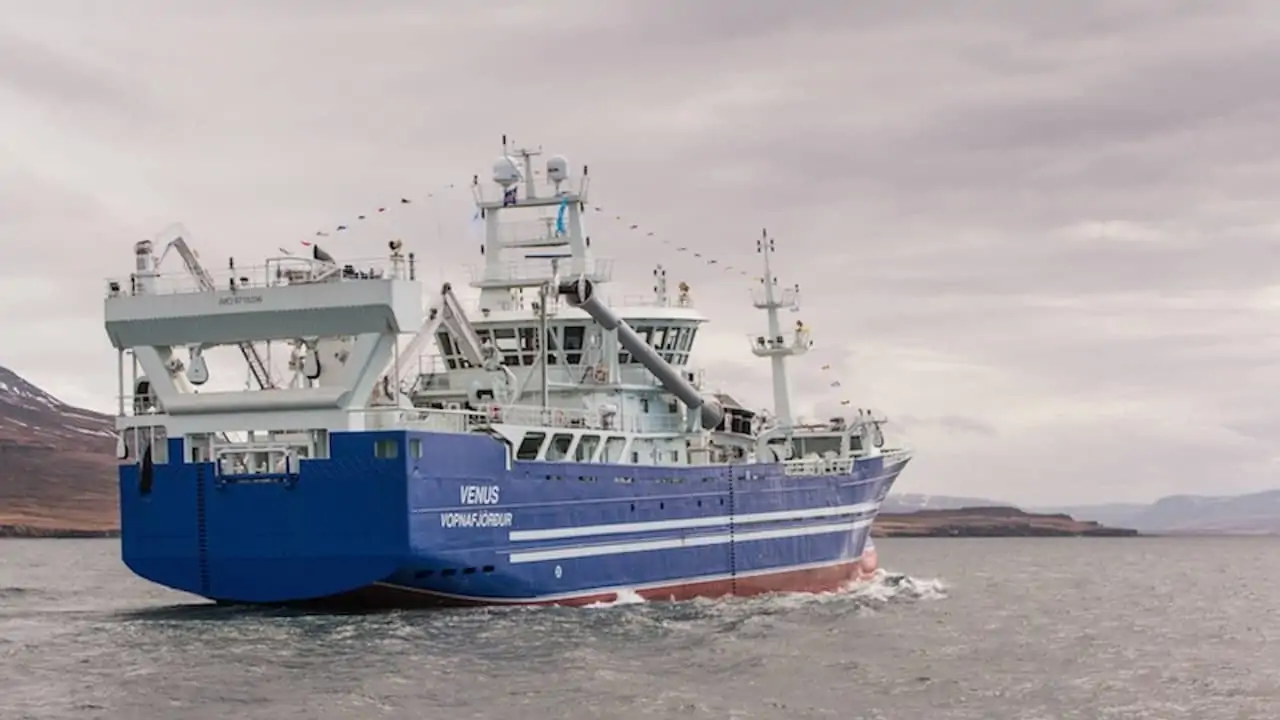 Read more about the article Capelin roe production underway at Akranes