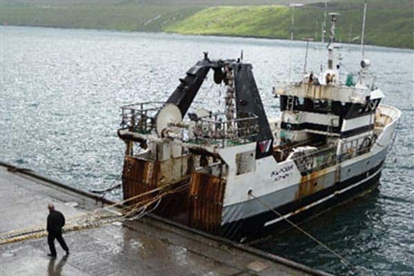 Read more about the article Mackerel challenges