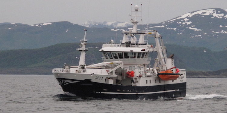 Fishing on herring has started well - @ Fiskerforum