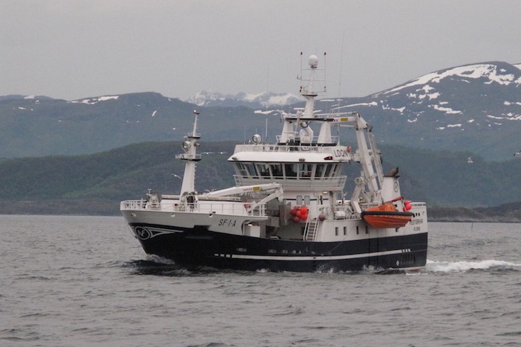 Read more about the article Herring season starts well