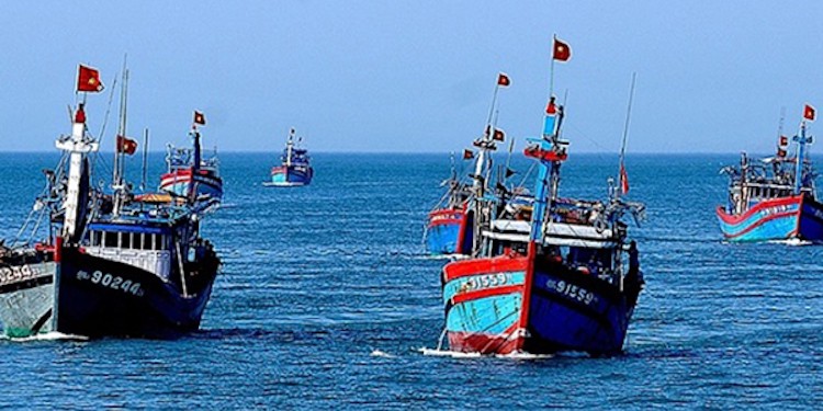 Read more about the article Vung Tau mixed-trawl fishery joins MarinTrust Improver Programme