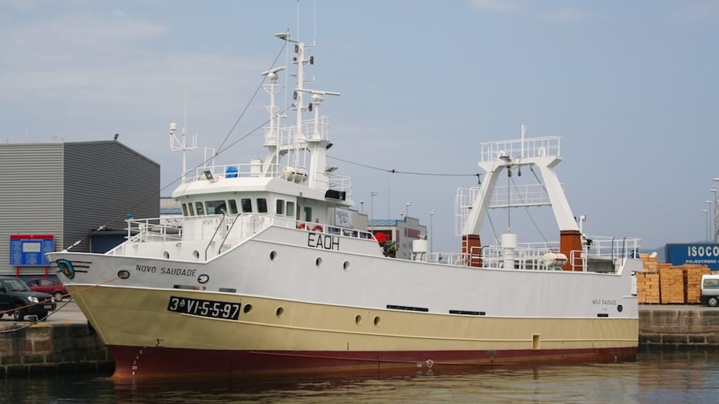 Read more about the article Spanish federation appoints new president