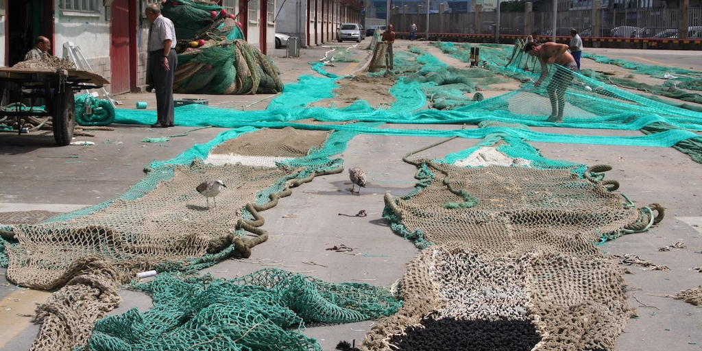 Read more about the article Next stage of fishing gear recycling