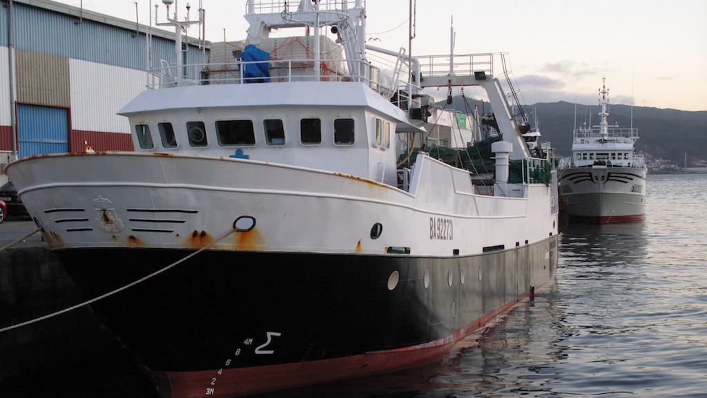 Read more about the article Positive progress on European fisheries – but not enough