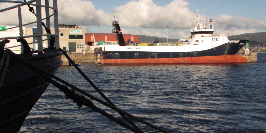 Read more about the article Policy must keep pace as climate change reshapes fisheries