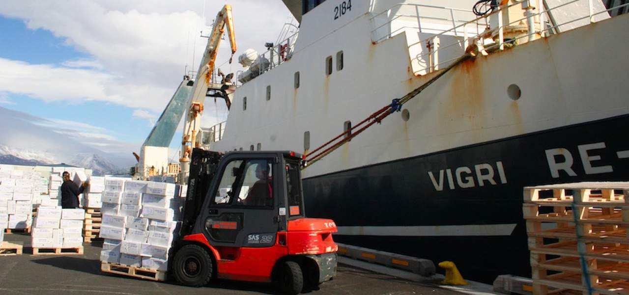 Read more about the article Steady fishing on mixed fish