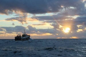 DAFF has authorised Sea Harvest's acquisition of Viking Group fishing rights - @ Fiskerforum