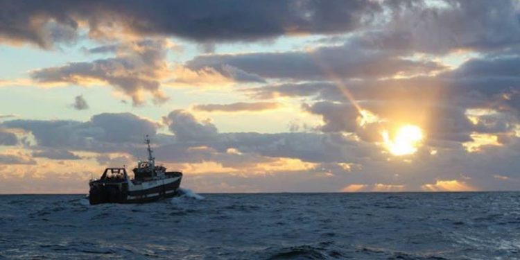 DAFF has authorised Sea Harvest's acquisition of Viking Group fishing rights - @ Fiskerforum