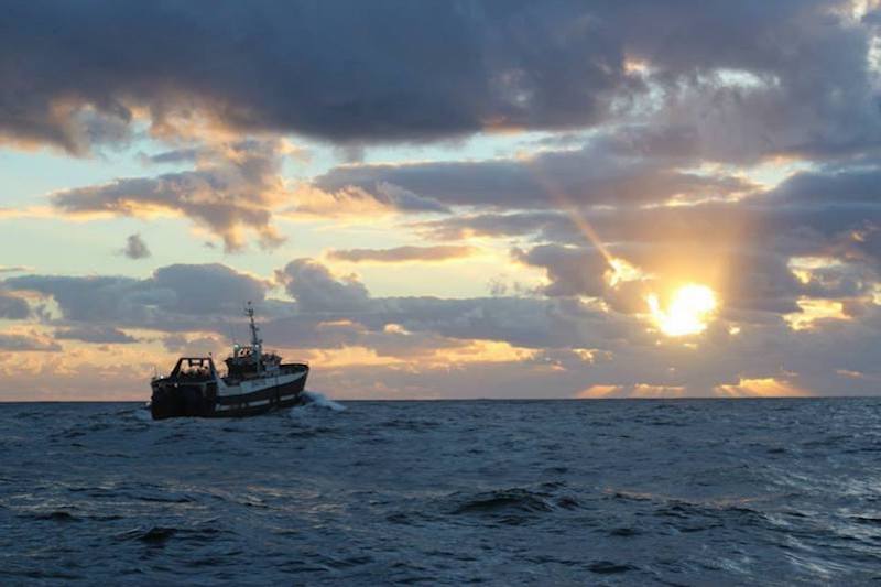 Read more about the article DAFF authorises rights transfers from Viking Group to Sea Harvest