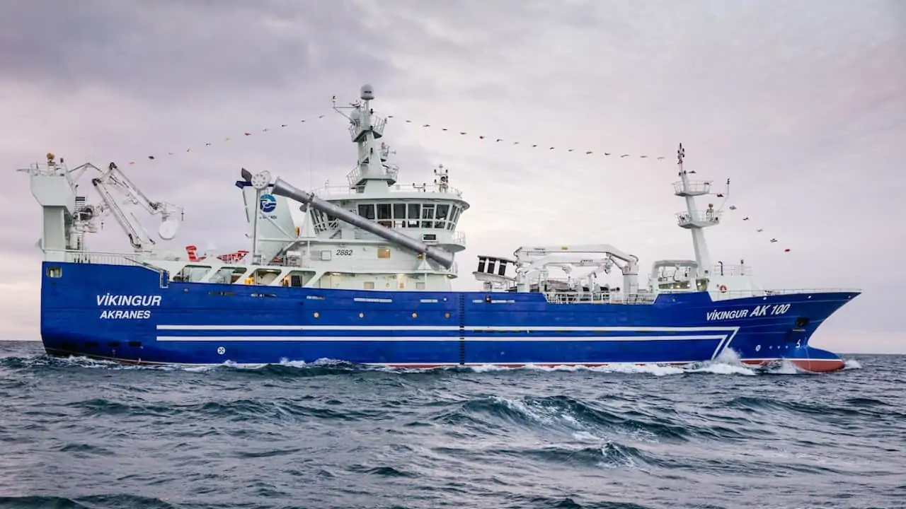 Read more about the article Víkingur’s Gloria performs well on blue whiting