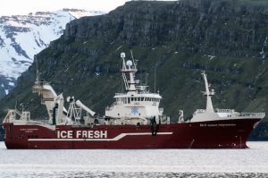 Samherji’s pelagic factory vessel Vilhelm Thorsteinsson landed the first capelin of 2018 - @ Fiskerforum