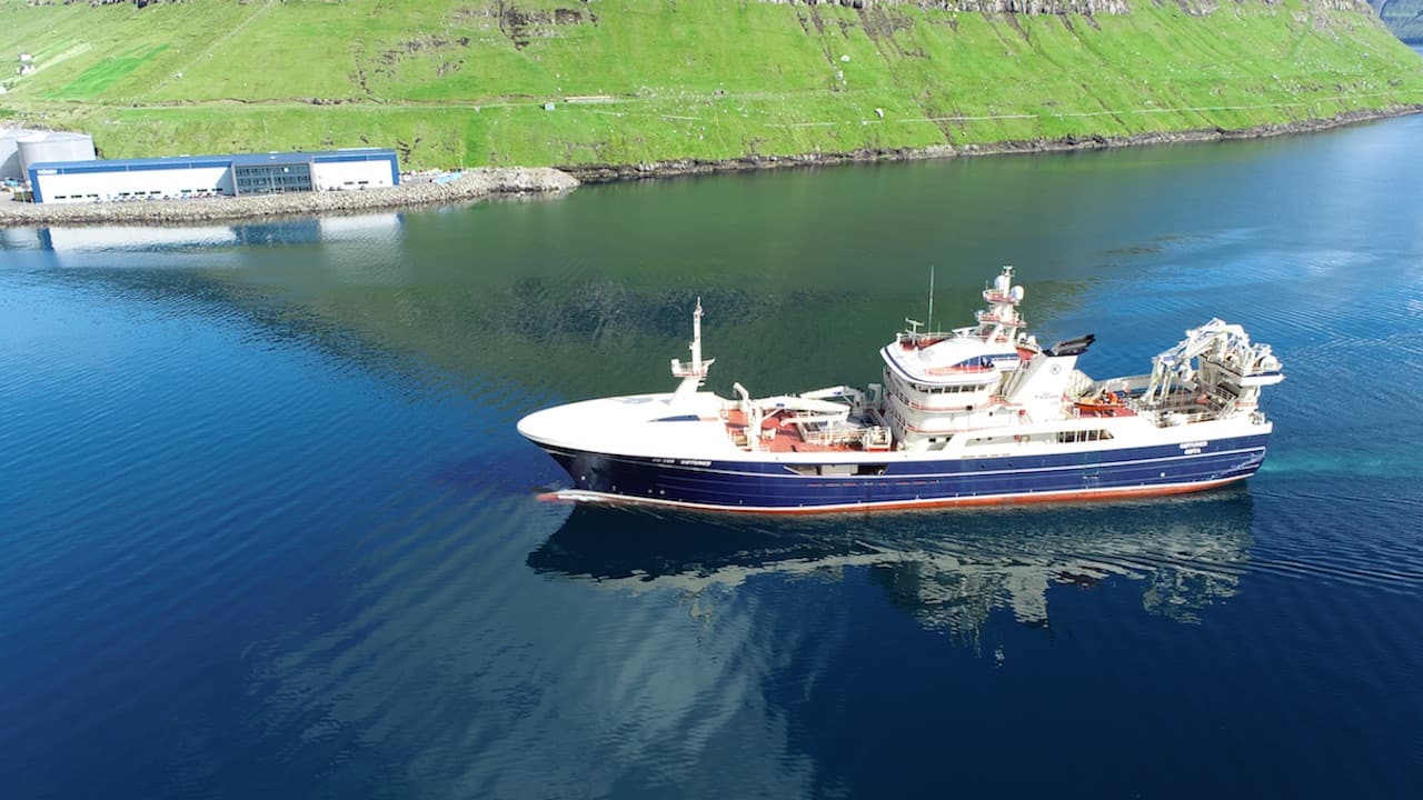 Read more about the article Vónin’s 2600 scores on scattered fish