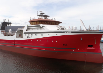 Nodosa floats off New Zealand factory trawler