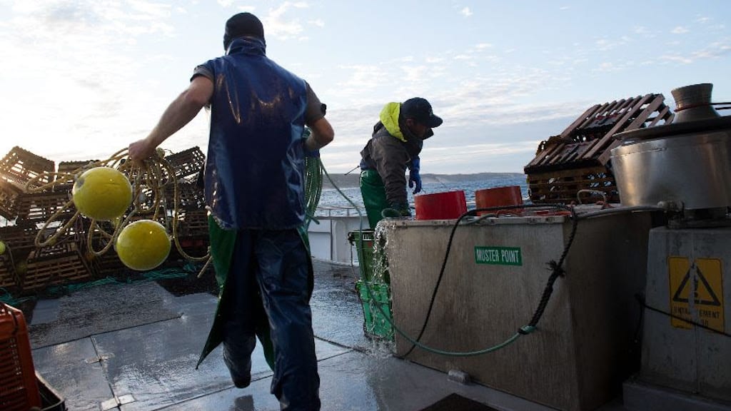 Read more about the article Grant funding to upskill fishing industry