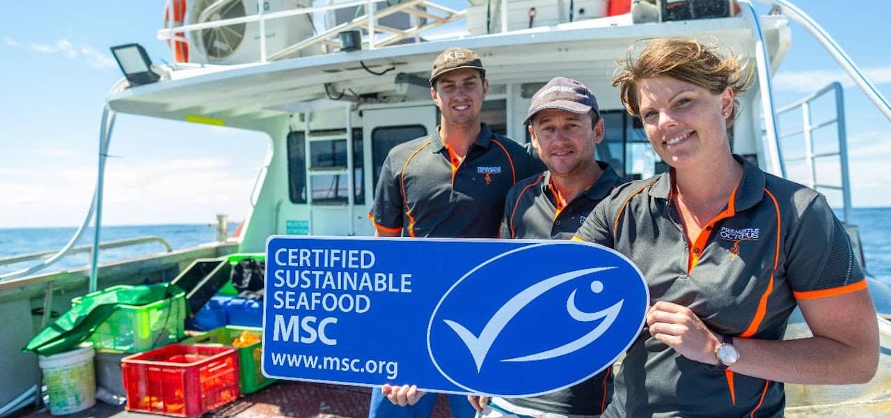 Read more about the article MSC certifies Western Australia’s octopus fishery