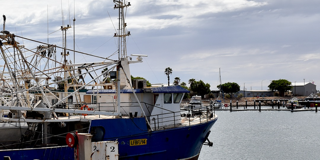 Read more about the article Demersal shutdown pushed through