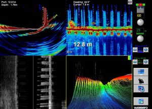 Images from a survey around the pilings of the Freyburg Wharf