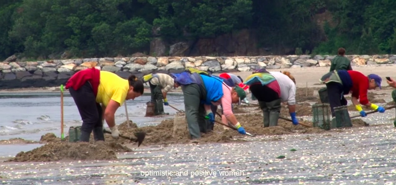 Read more about the article Video competition celebrates Women in Seafood