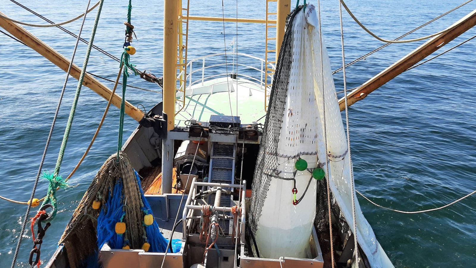 Read more about the article Kiwi codend comes to Europe