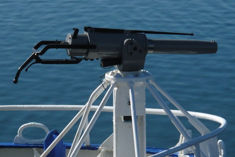 Read more about the article Norway sets minke quota