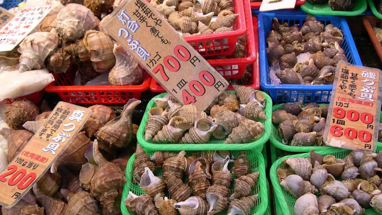 Read more about the article Commercial whelk fishery to launch in Eastern Nova Scotia