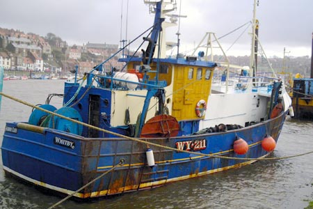 Read more about the article Twelve Words and Two Failed Cod Plans