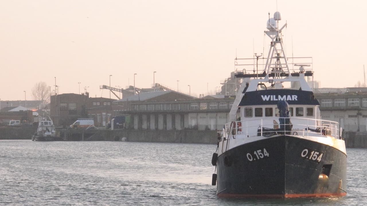 Read more about the article Three EU-UK fisheries management agreements