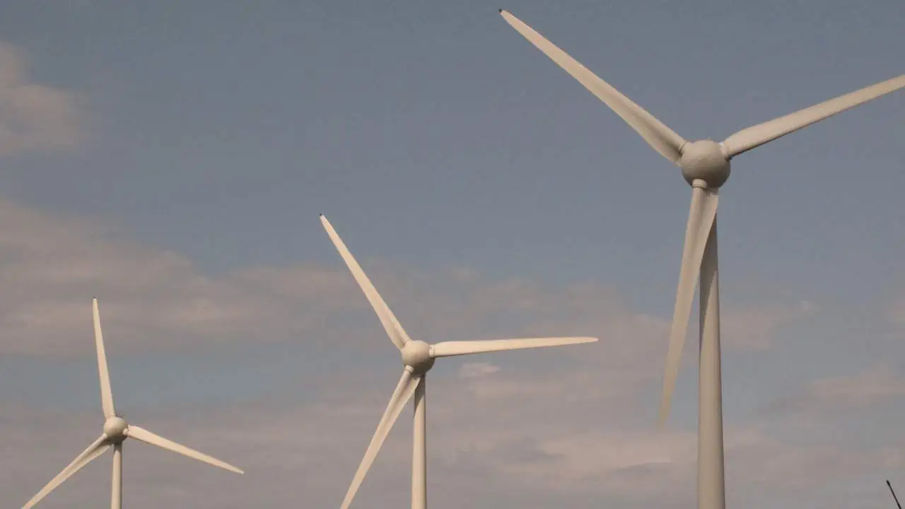Read more about the article Is wind energy set to blow fishing off the water?