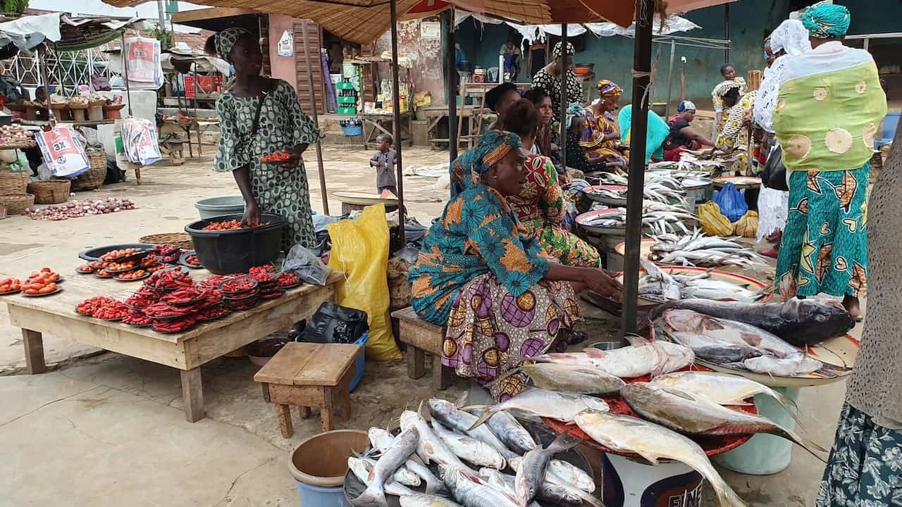 Read more about the article WorldFish appoints Interim Director General