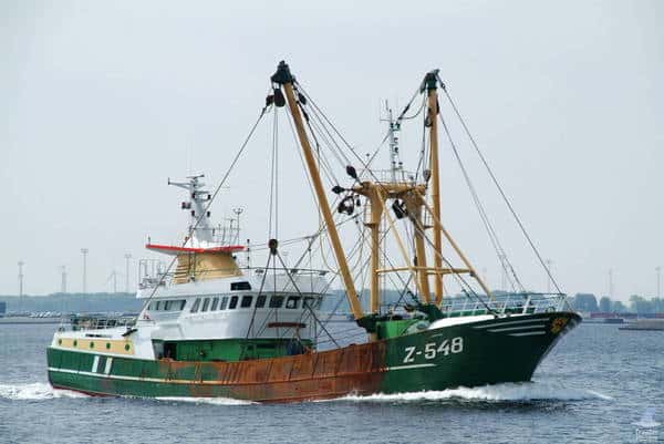 Read more about the article Flamingo owner and master to pay £18,230 for failing to keep an accurate logbook