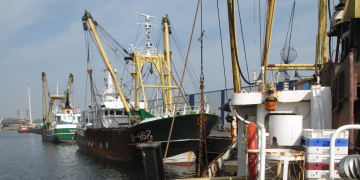 CFP fails to deliver on socio-economic sustainability