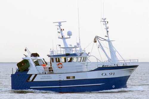 Read more about the article O91 Albatros