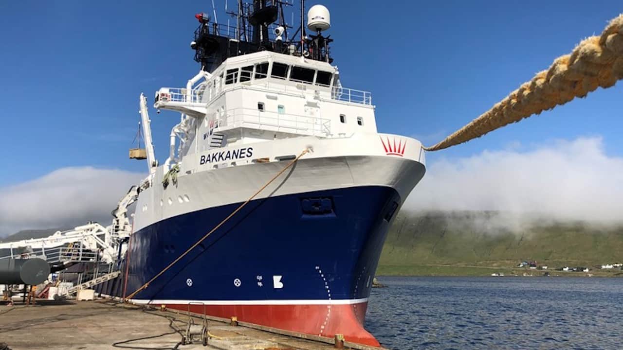 Read more about the article Bakkanes goes to work