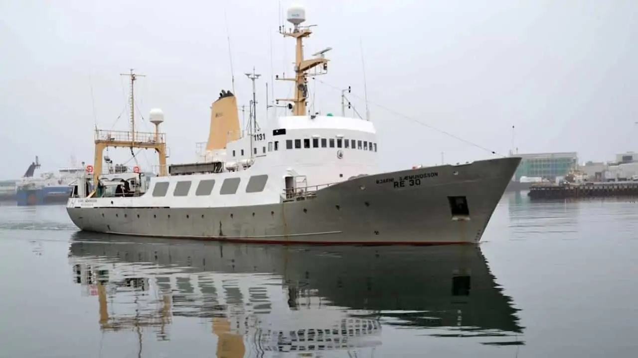 Read more about the article Iceland seeks tenders for new marine research vessel