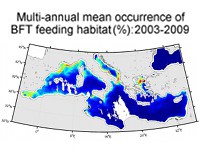 Read more about the article Satellite data can help protect bluefin tuna