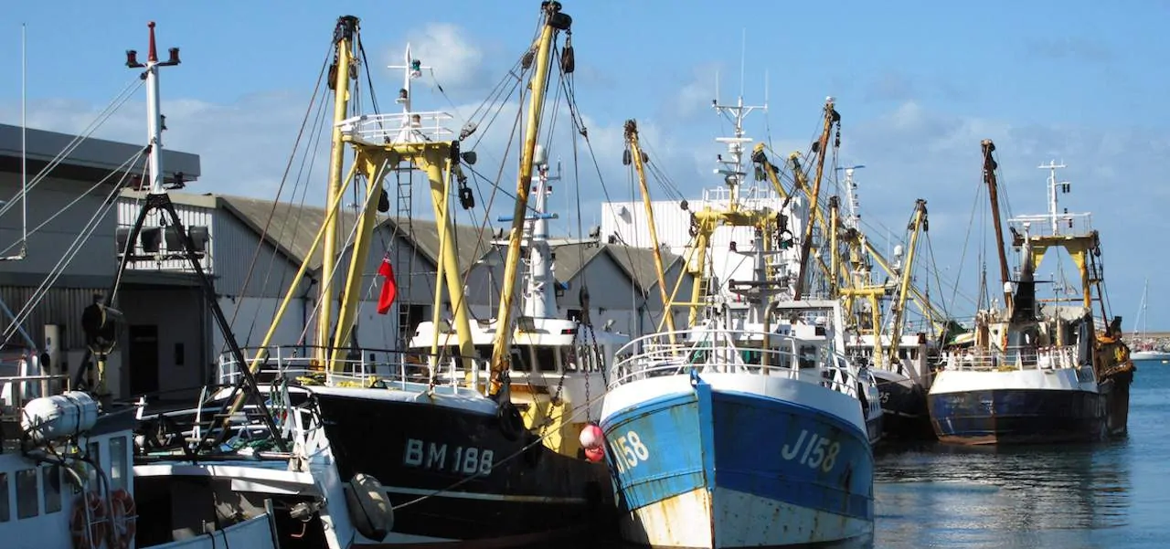 Read more about the article ‘Calm before the storm’ report on UK fishing fleet