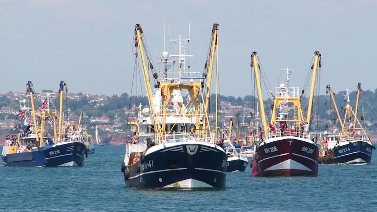 Read more about the article UK betrayed on fisheries, claim federations