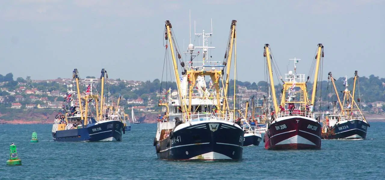 Read more about the article British fishing’s billion pound turnover