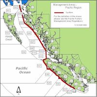 Read more about the article British Columbia pink salmon fisheries awarded MSC certification