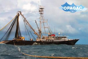 OPAGAC groups together nine freezer tuna seiner operators and is the only organisation in the sector tabling a commitment in the course of the conference - @ Fiskerforum