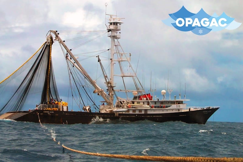 Read more about the article OPAGAC announces global standard for tuna fishing at Our Ocean conference