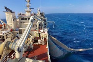 Beitir pumping a 650 tonne haul - @ Fiskerforum