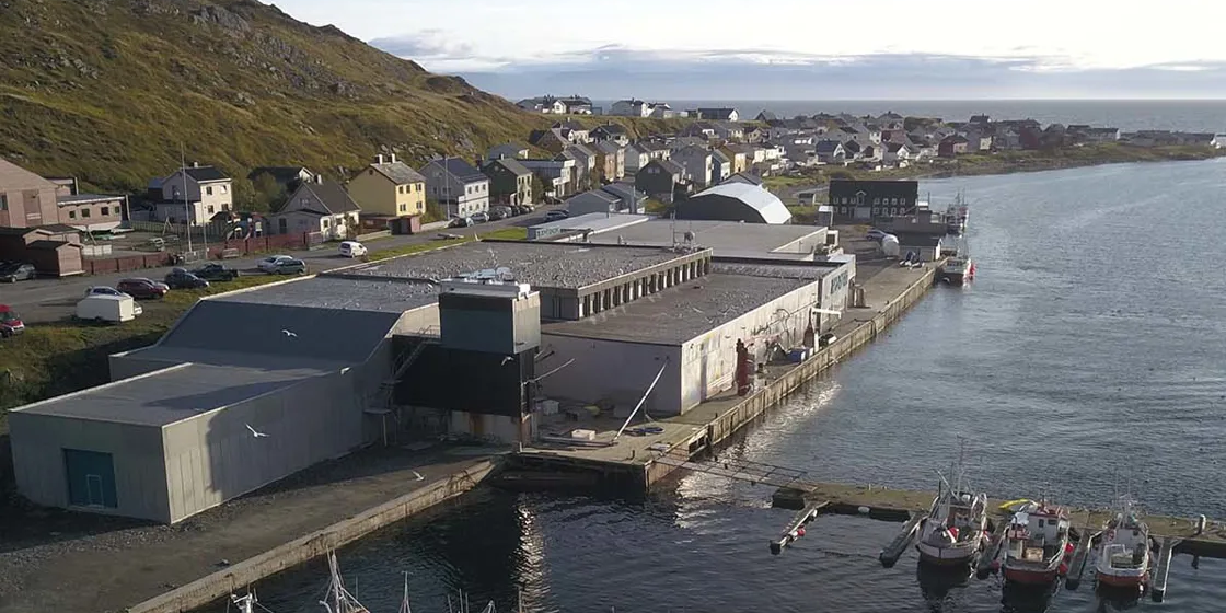 Read more about the article Carsoe crab factory for Norwegian producer