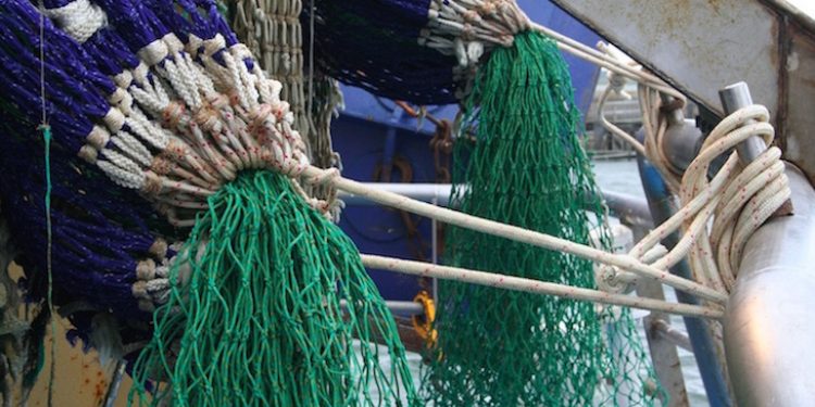 Calls for project gear discards reduction initiative ideas - @ Fiskerforum