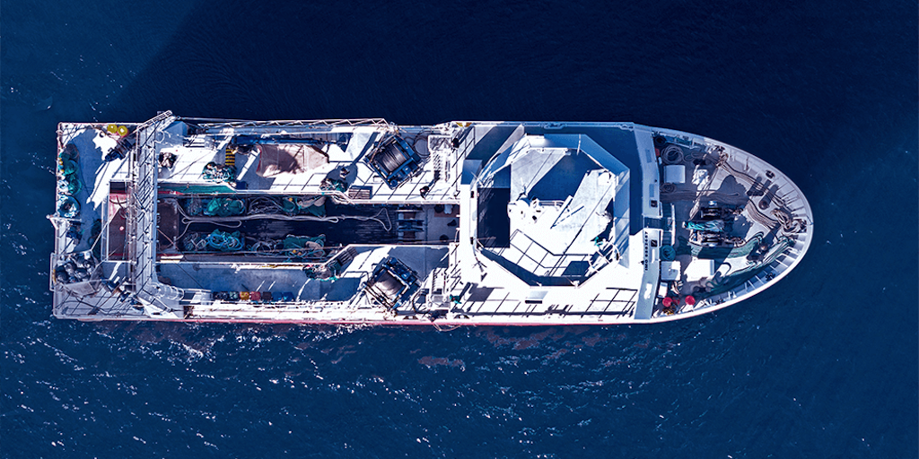 Read more about the article Driving improvement across seafood operations