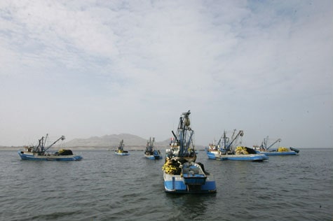 Read more about the article Copeinca (NO) – second quarter and first half year 2011 financial results